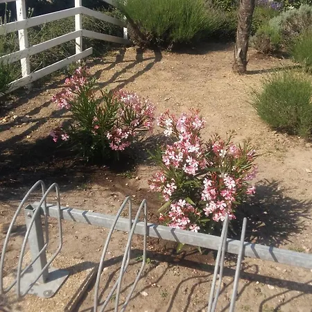 Resid Azur Appartement *