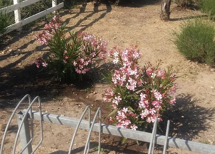 Resid Azur Appartement *